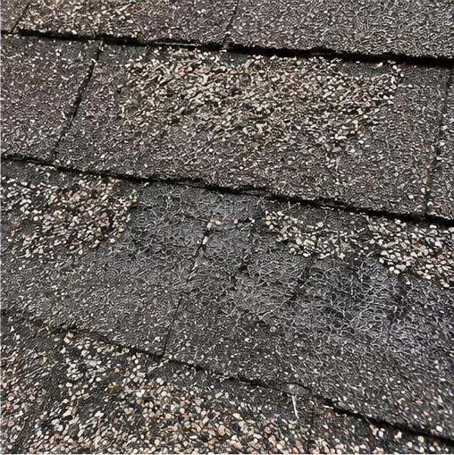 Roof Inspection in Le Center, MN