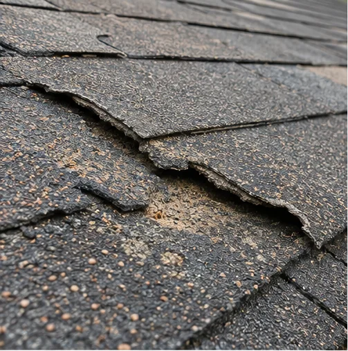 Roof Inspection in Savage, MN